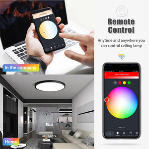 3.0 Smart Ceiling Light