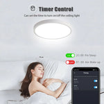 3.0 Smart Ceiling Light