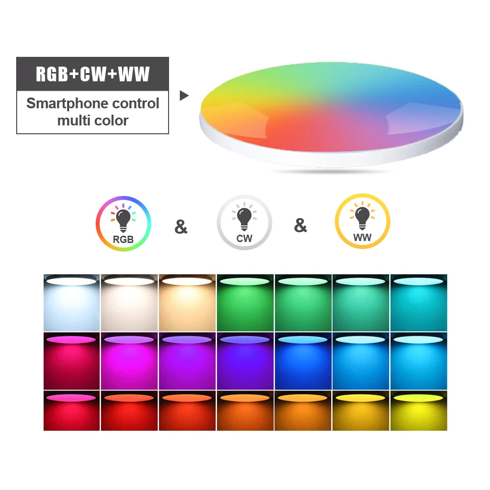 3.0 Smart Ceiling Light